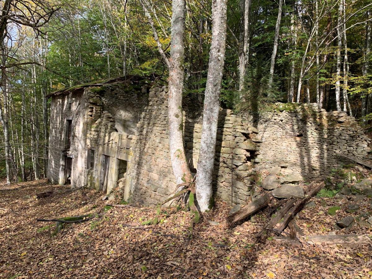 Gîte  Orée des bois Vertolaye Esterno foto