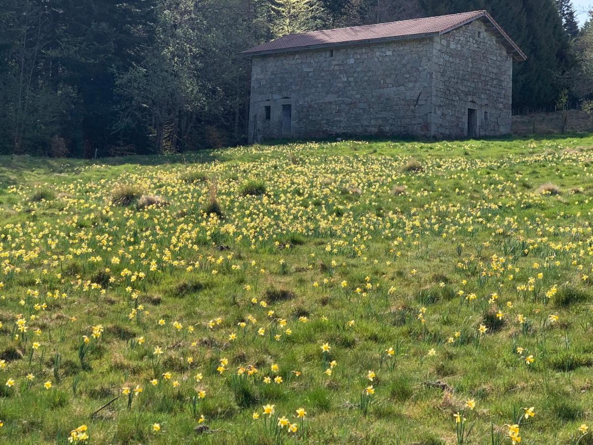 Gîte  Orée des bois Vertolaye Esterno foto