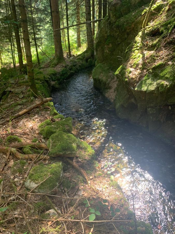 Gîte  Orée des bois Vertolaye Esterno foto