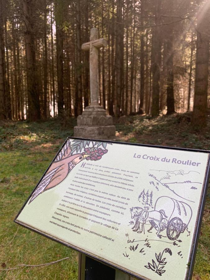 Gîte  Orée des bois Vertolaye Esterno foto