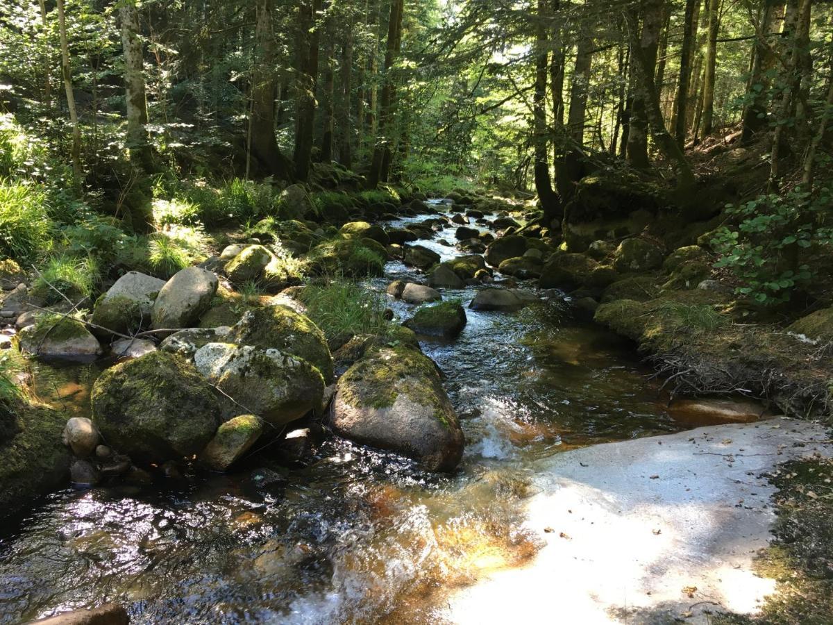 Gîte  Orée des bois Vertolaye Esterno foto