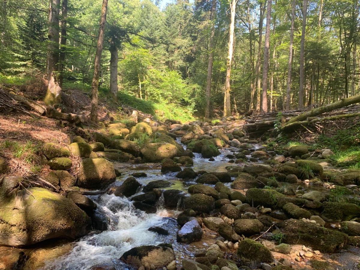 Gîte  Orée des bois Vertolaye Esterno foto