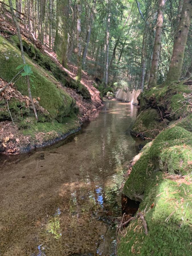 Gîte  Orée des bois Vertolaye Esterno foto