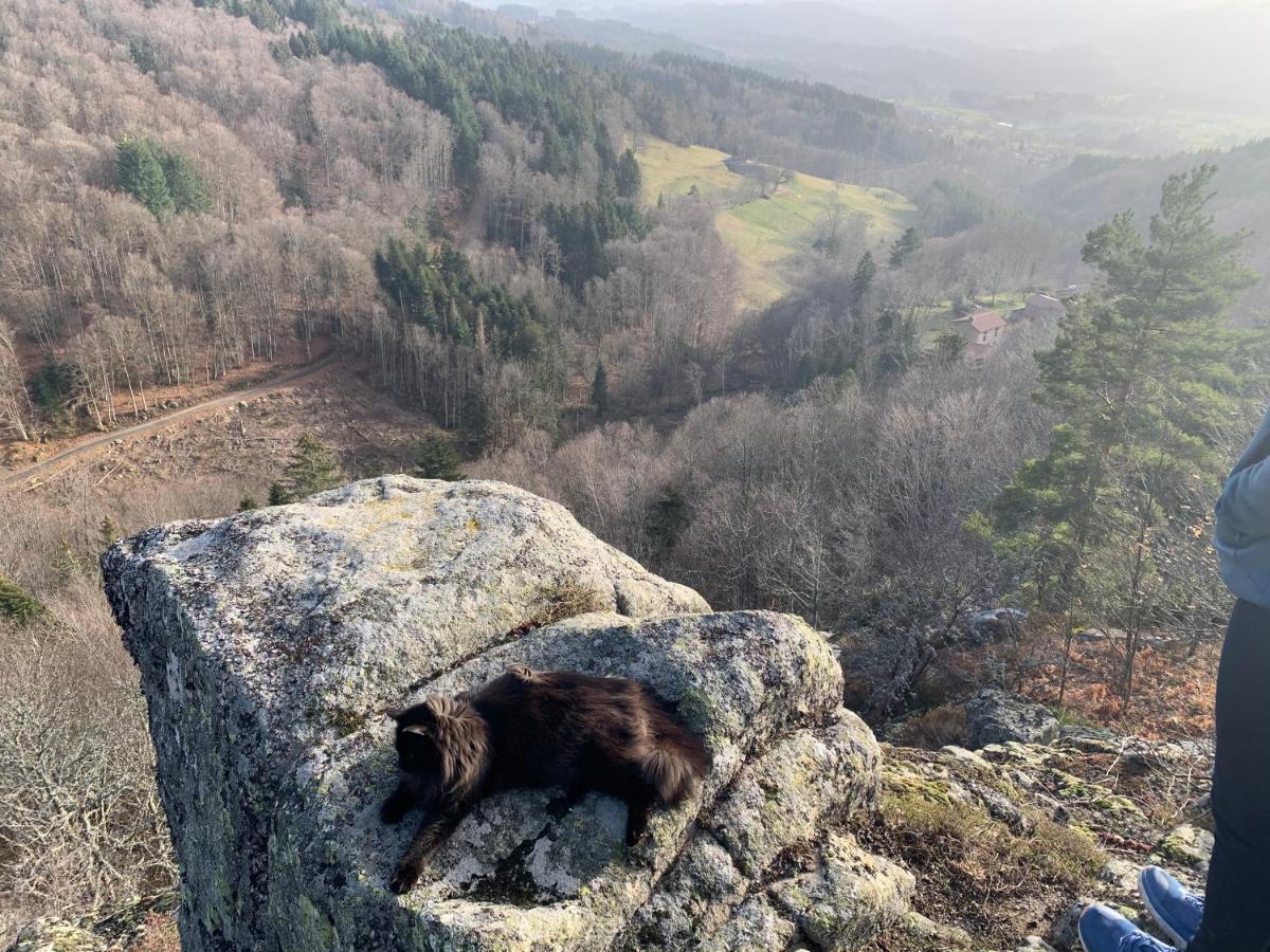 Gîte  Orée des bois Vertolaye Esterno foto