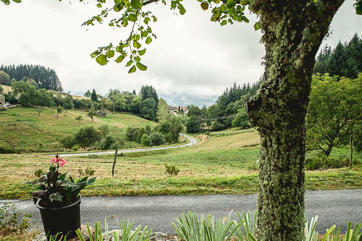Gîte  Orée des bois Vertolaye Esterno foto