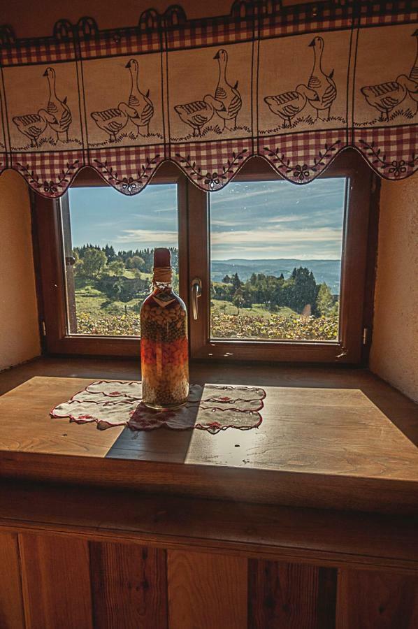 Gîte  Orée des bois Vertolaye Esterno foto